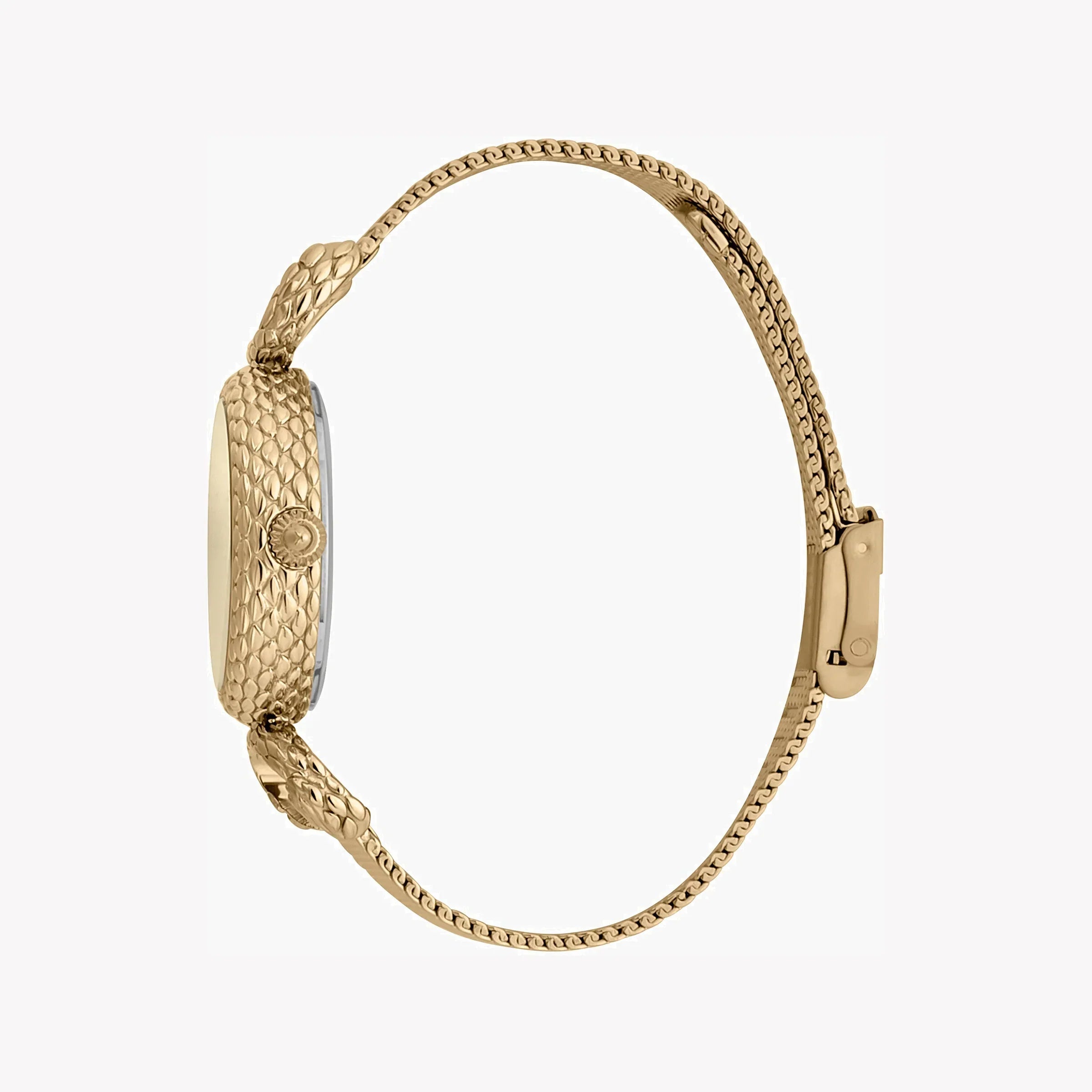 Just Cavalli Women's Gold Watch, Champagne Dial | Jc1l148m0225