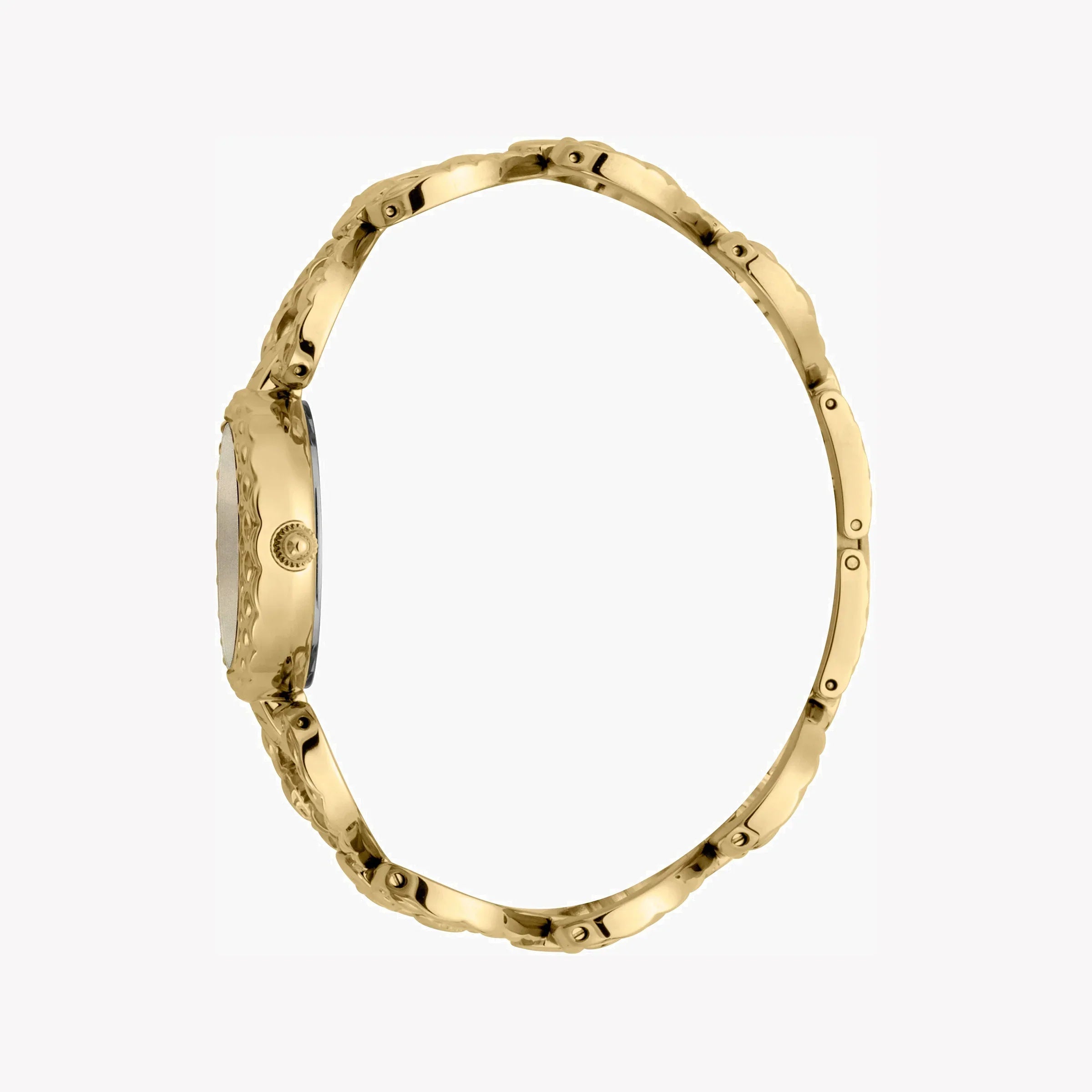 Just Cavalli Women's Gold Stainless Steel Watch, Silver Dial | Jc1l132m0075