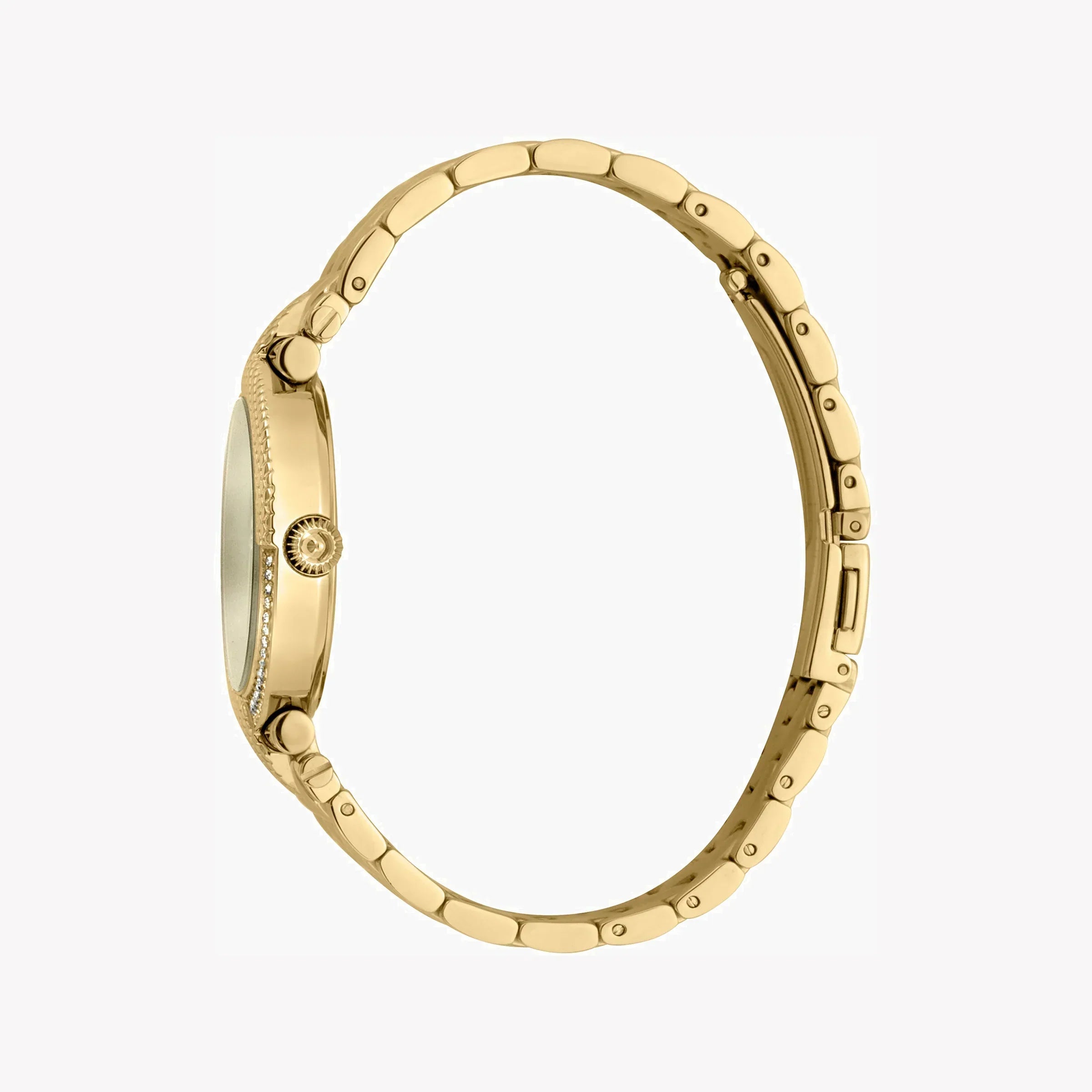 Just Cavalli Women's Gold Watch, Champagne Dial | Jc1l105m0075