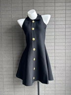Elegant Sleeveless A-Line Dress with Notched Collar and Fitted Waist, Chic Petite Design