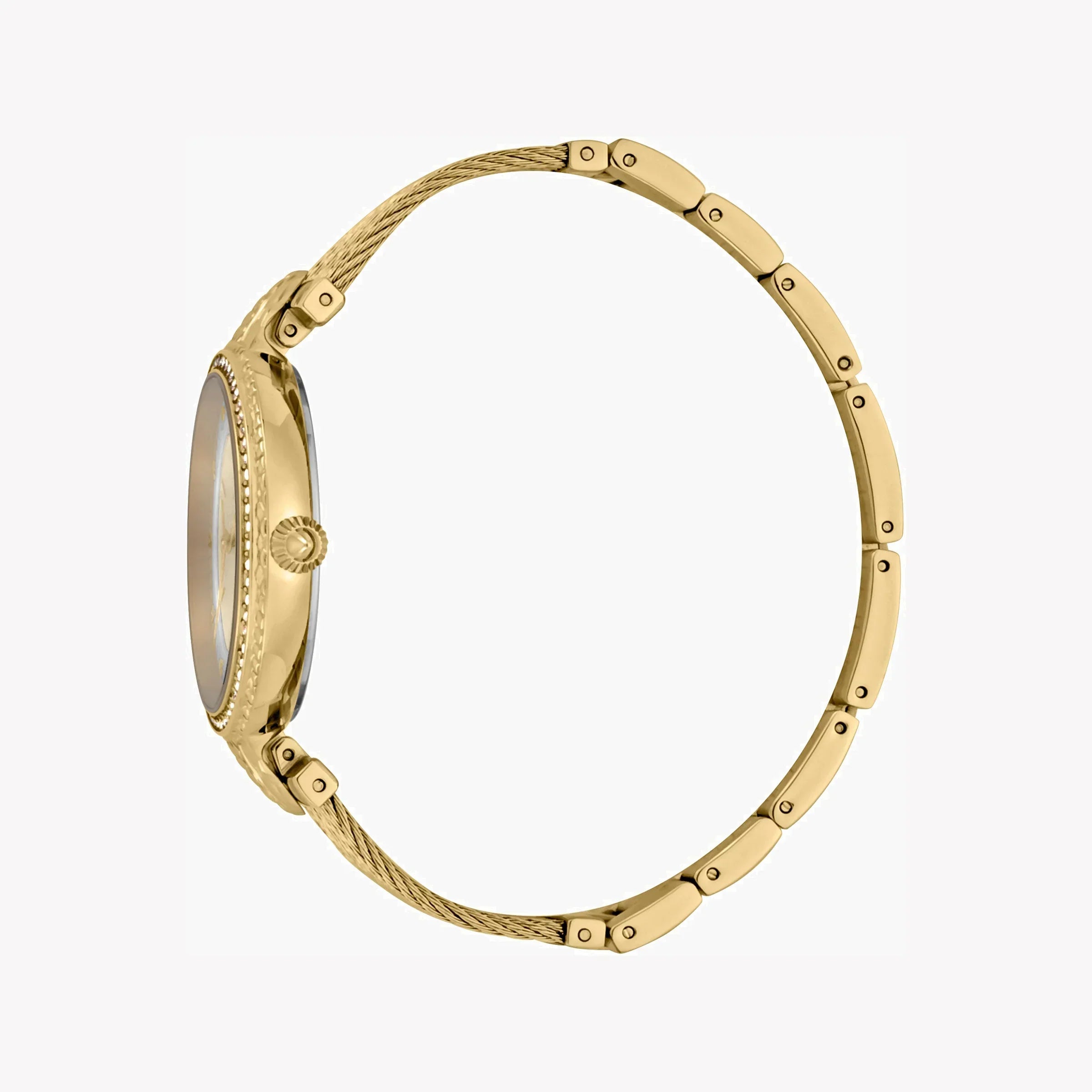 Just Cavalli Women's Gold Watch, Champagne Dial | Jc1l169m0025