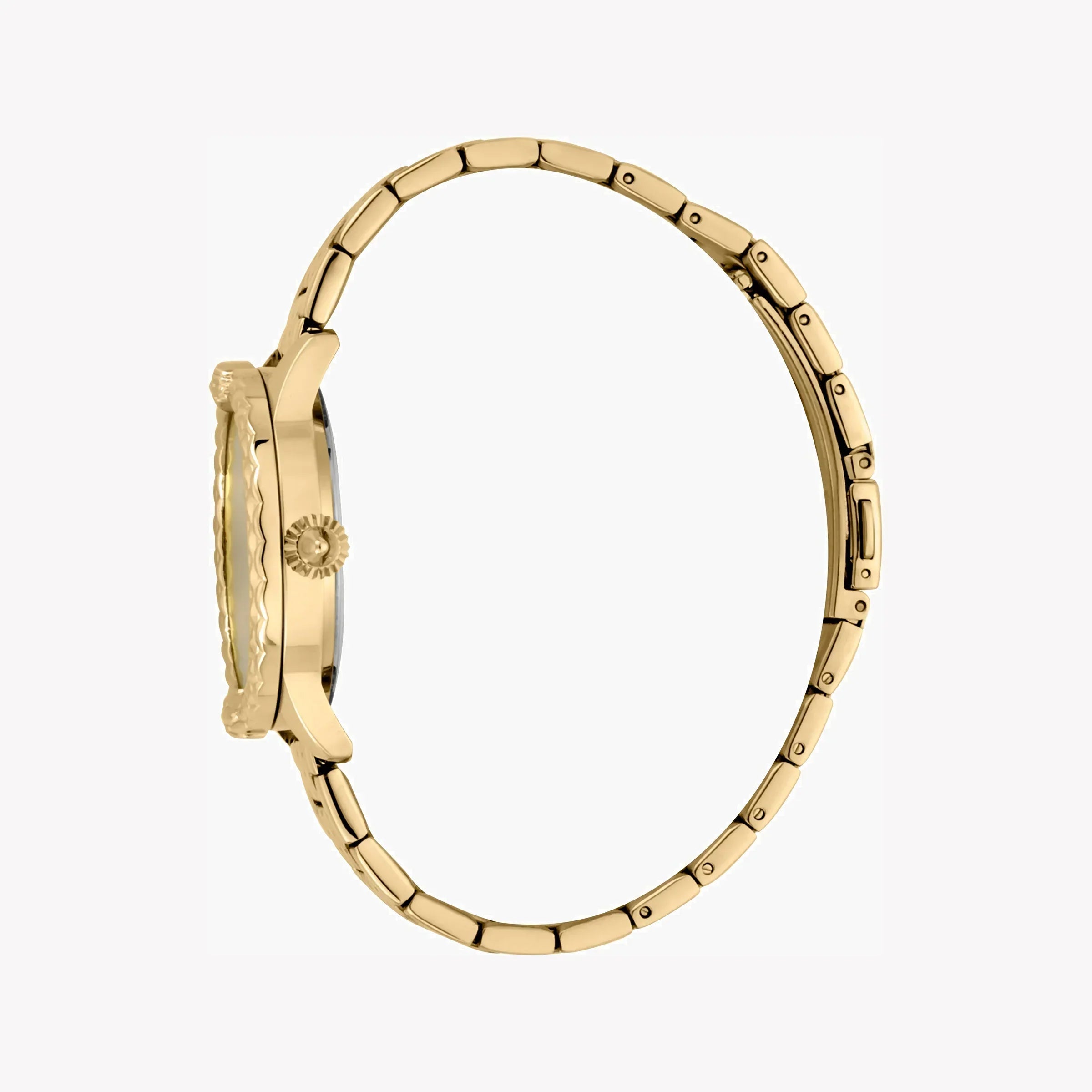 Just Cavalli Women's Gold Watch, Champagne Dial | Jc1l144m0055