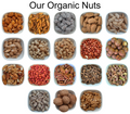 Chia Seeds – Natural Organic Premium-quality + Free sample!