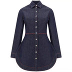 Light luxury slim fit waist cinched denim top for women in spring and autumn, new European and American niche design, commuting temperament shirt