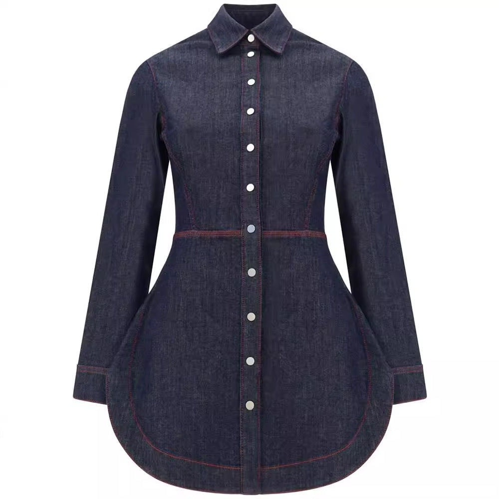 Light luxury slim fit waist cinched denim top for women in spring and autumn, new European and American niche design, commuting temperament shirt