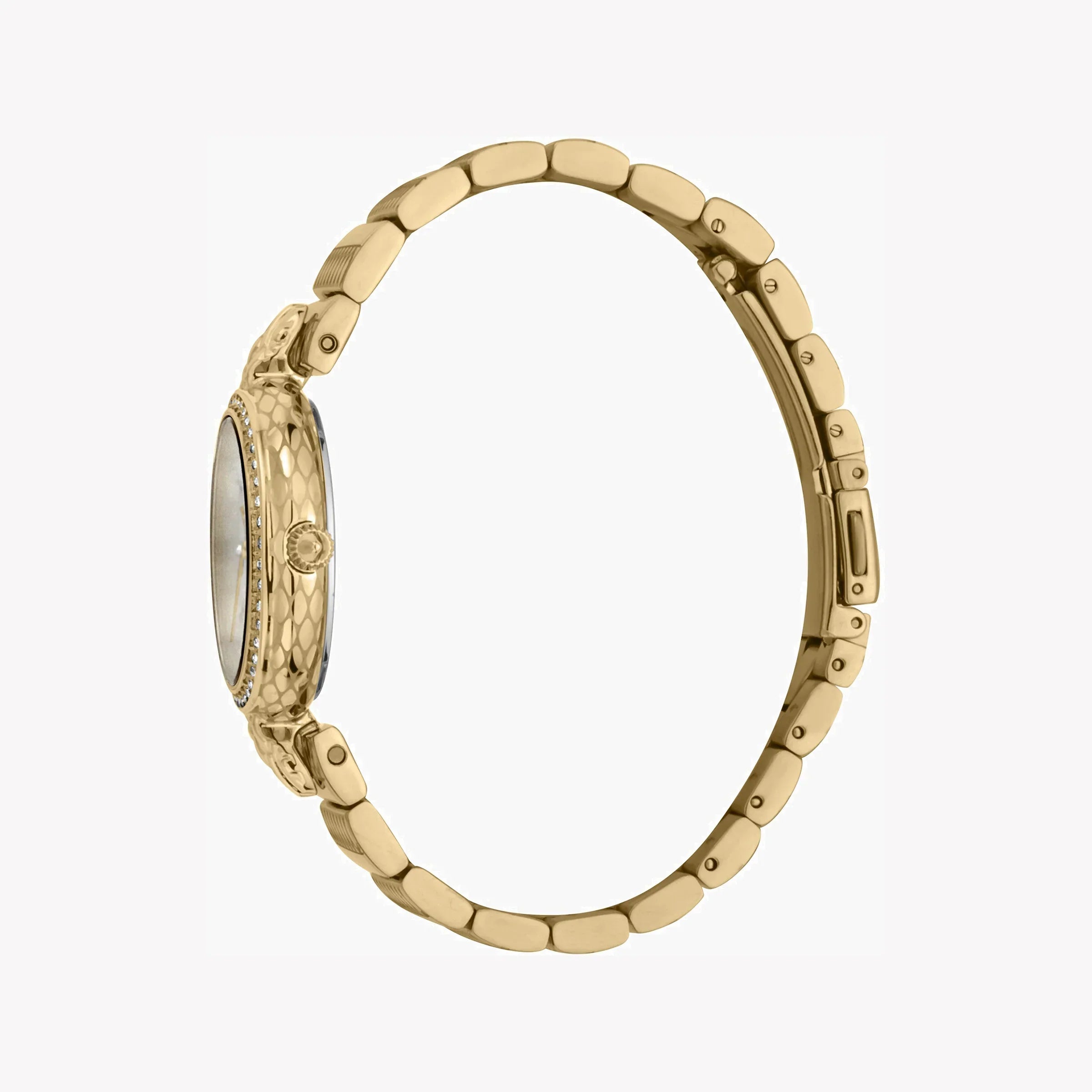 Just Cavalli Women's Gold Stainless Steel Watch, Silver Dial | Jc1l147m0065