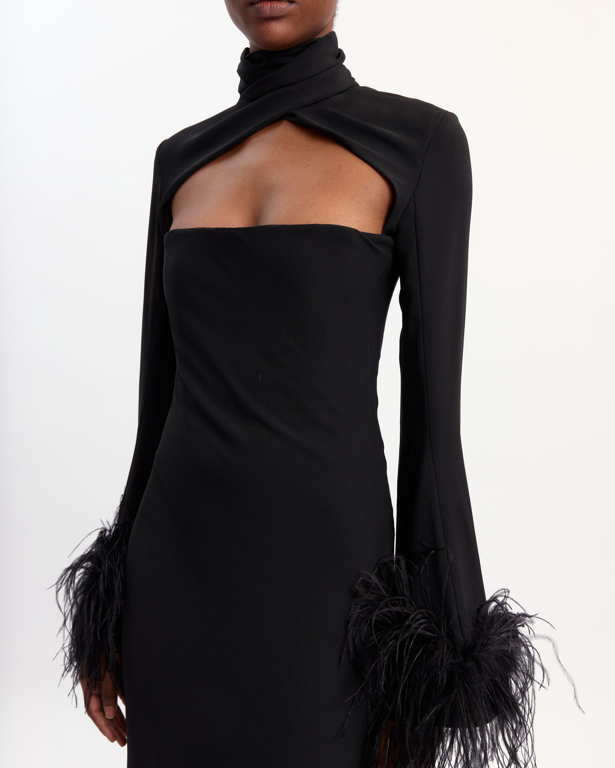 Ostrich Feather Dress