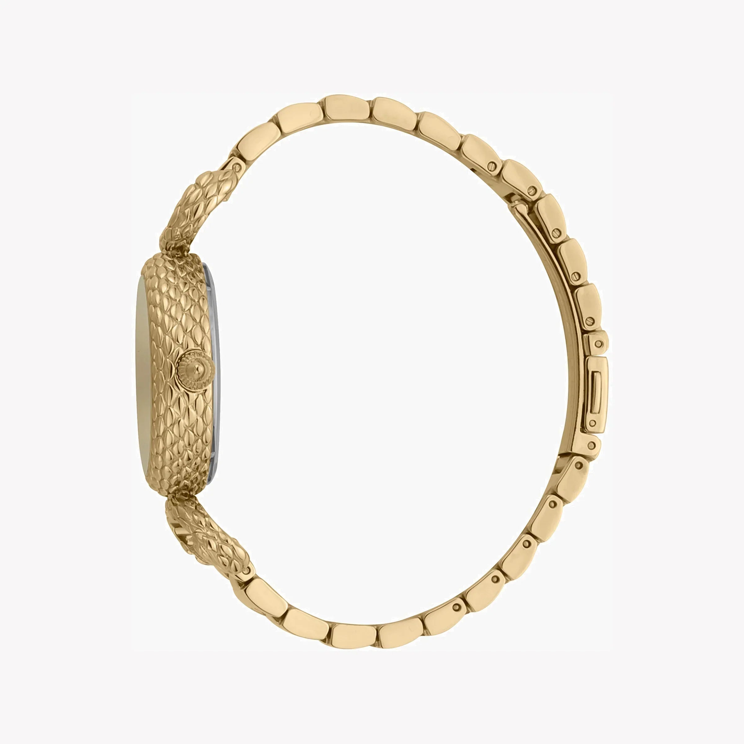 Just Cavalli Women's Gold Watch, Champagne Dial | Jc1l148m0065