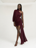Burgundy Ruched Tassel Mini Dress