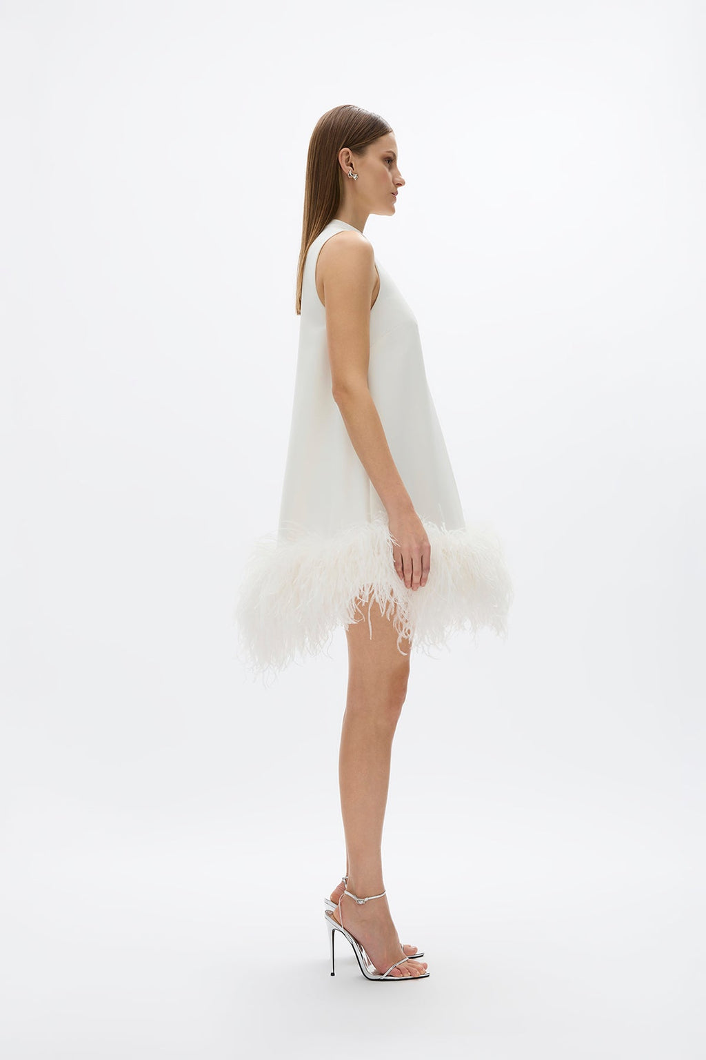 Ostrich Feather Dress