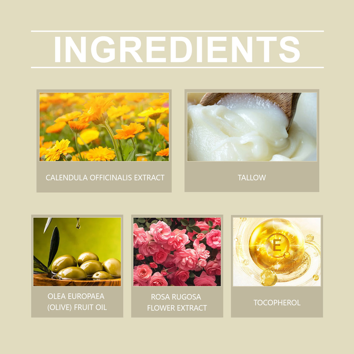 Tallow Repair Cream