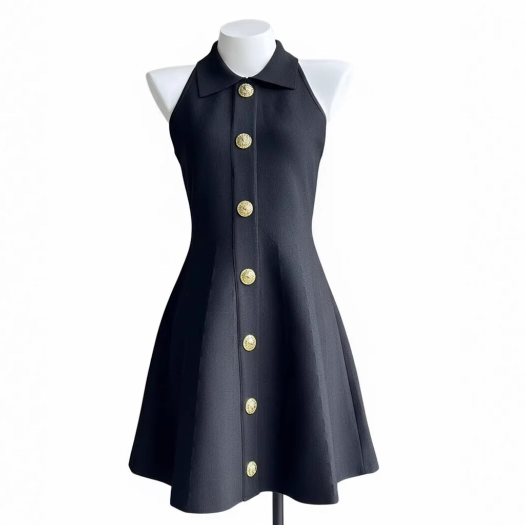Elegant Sleeveless A-Line Dress with Notched Collar and Fitted Waist, Chic Petite Design