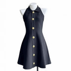 Elegant Sleeveless A-Line Dress with Notched Collar and Fitted Waist, Chic Petite Design