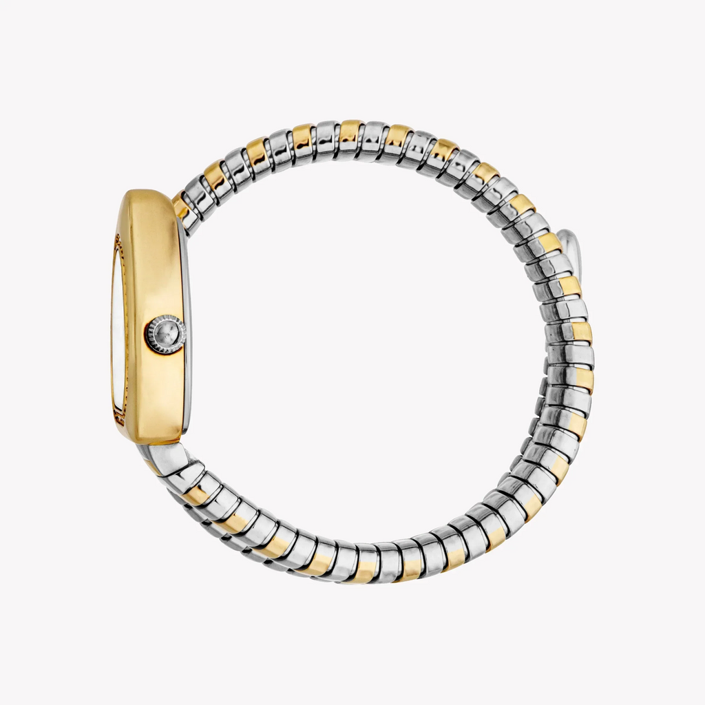 Just Cavalli Women's Two Tone Silver & Gold Watch, Silver Dial | Jc1l249m0055