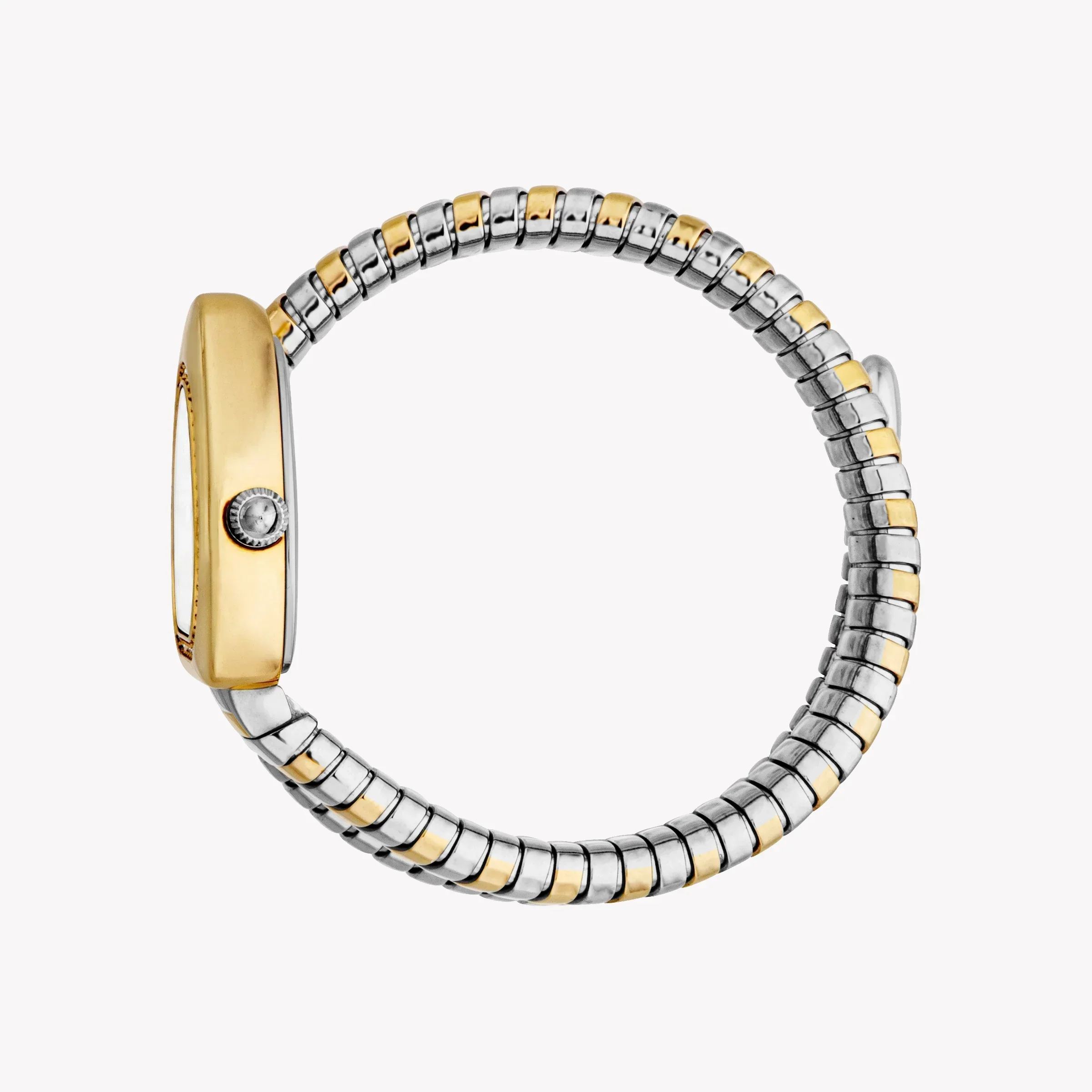 Just Cavalli Women's Two Tone Silver & Gold Watch, Silver Dial | Jc1l249m0055
