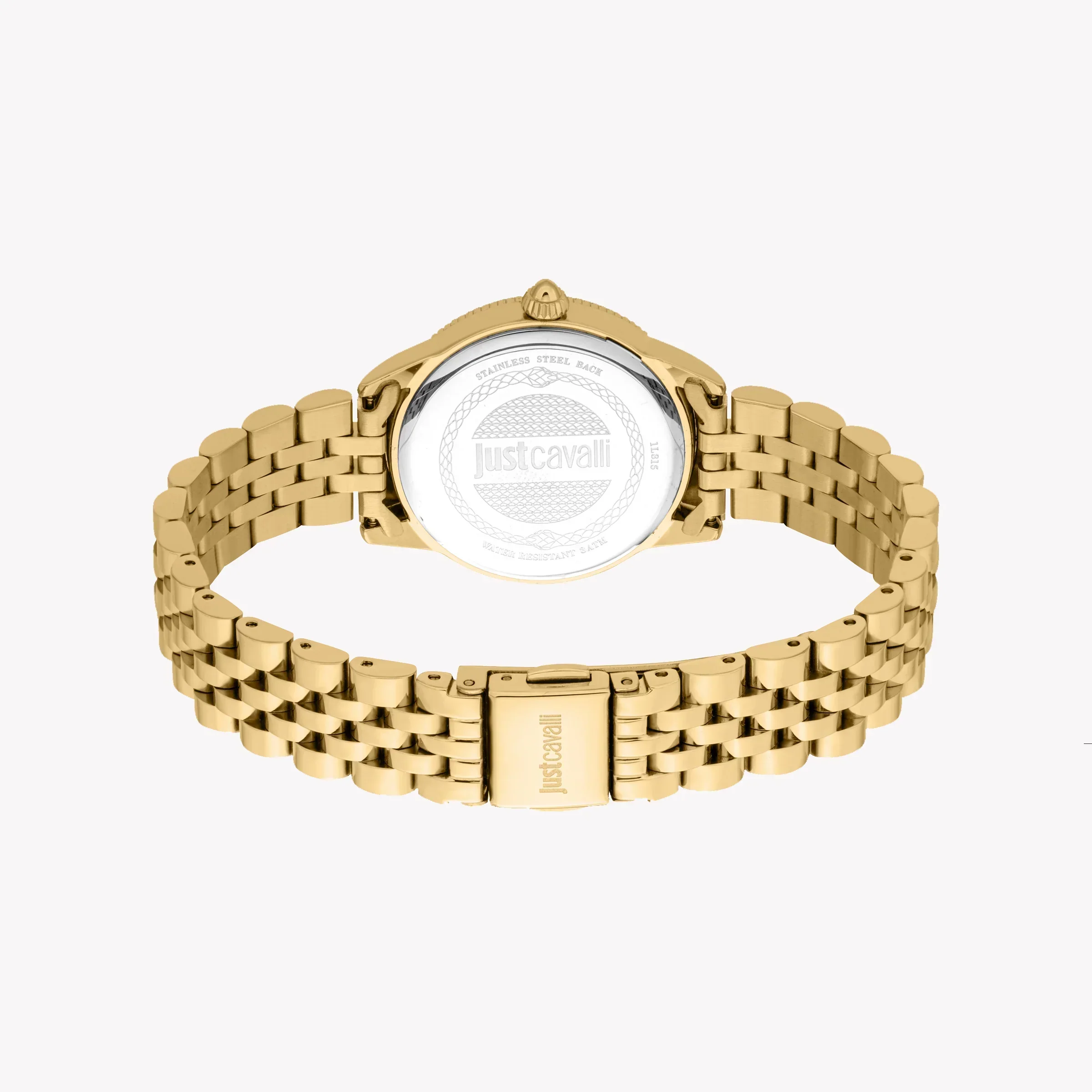 Just Cavalli Women's Gold Alloy Steel Watch, Green Dial | Jc1l315m0065