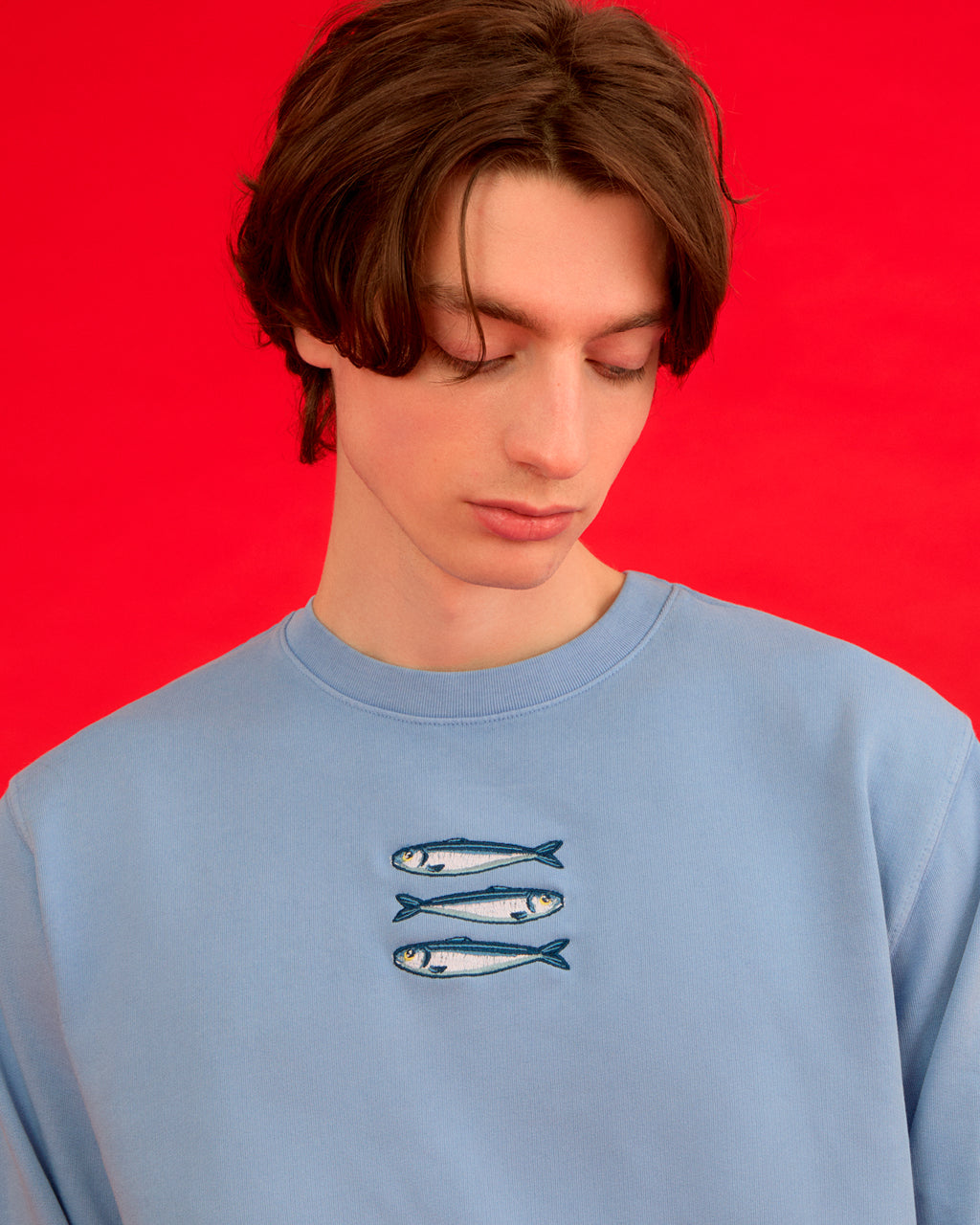 Sardines Organic Cotton Embroidered Sweatshirt Blue