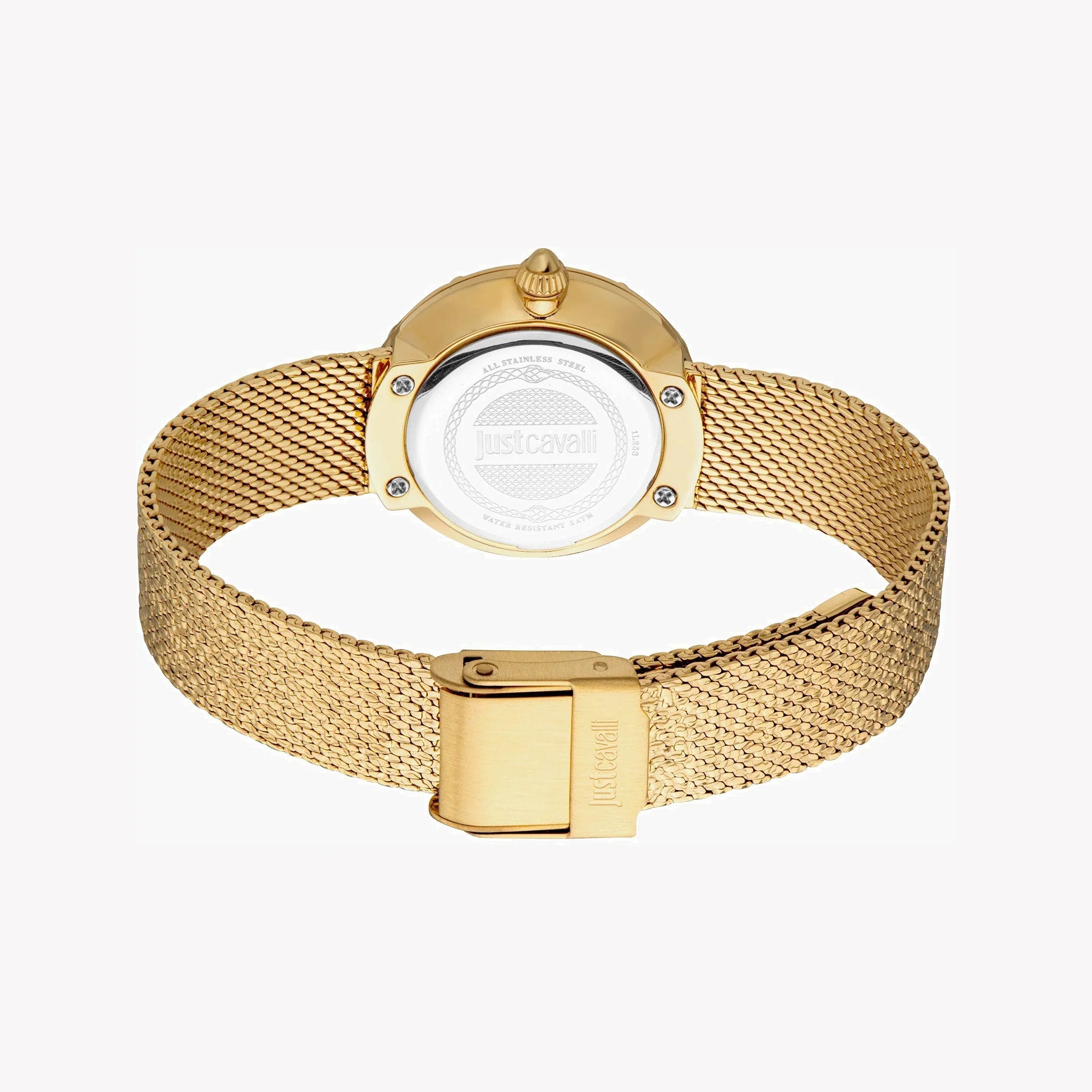 Just Cavalli Women's Gold Stainless Steel Watch, Turquoise Dial | Jc1l253m0065