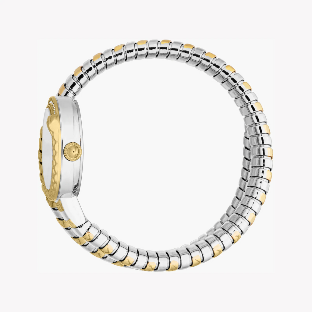 Just Cavalli Women's Two-Tone Watch, Silver Dial | Jc1l301m0065