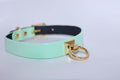 Collars For Women Mint Green Leather ORing Choker Collar for BDSM Play