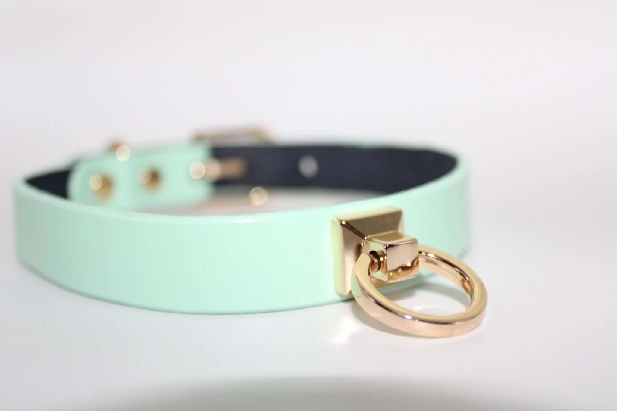 Collars For Women Mint Green Leather ORing Choker Collar for BDSM Play