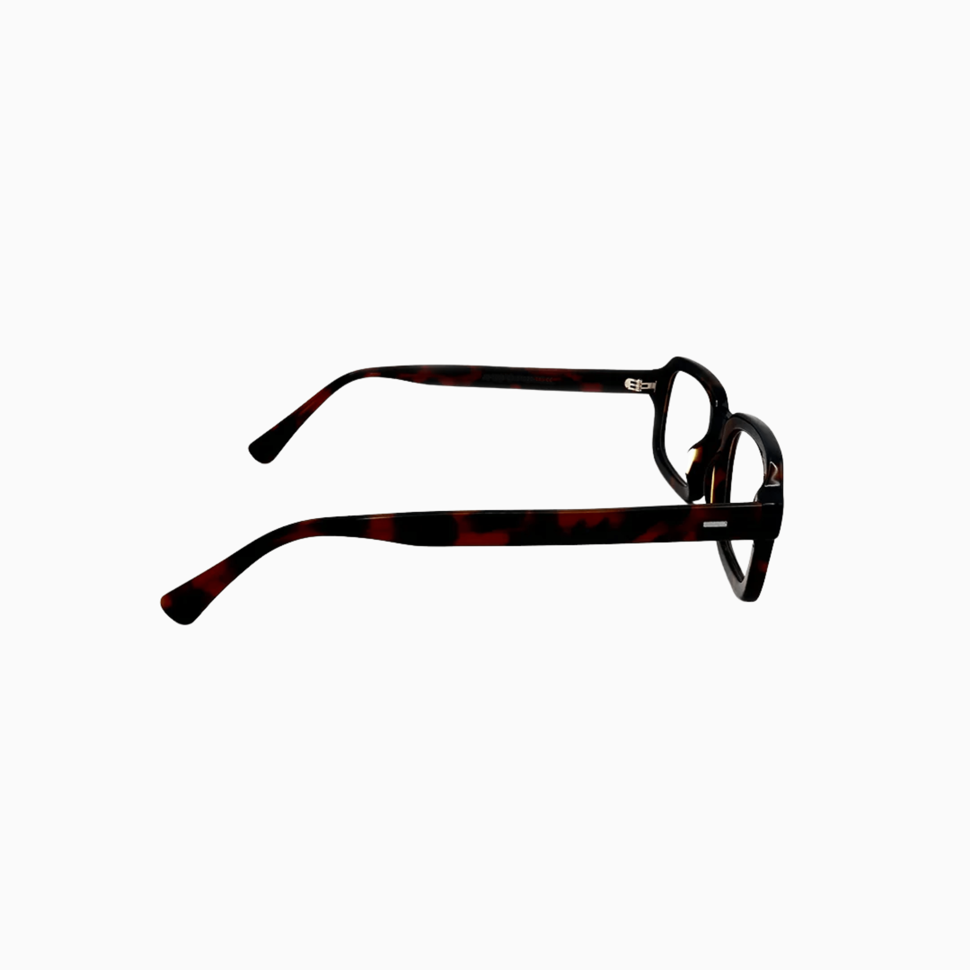 Caine - Tortoise