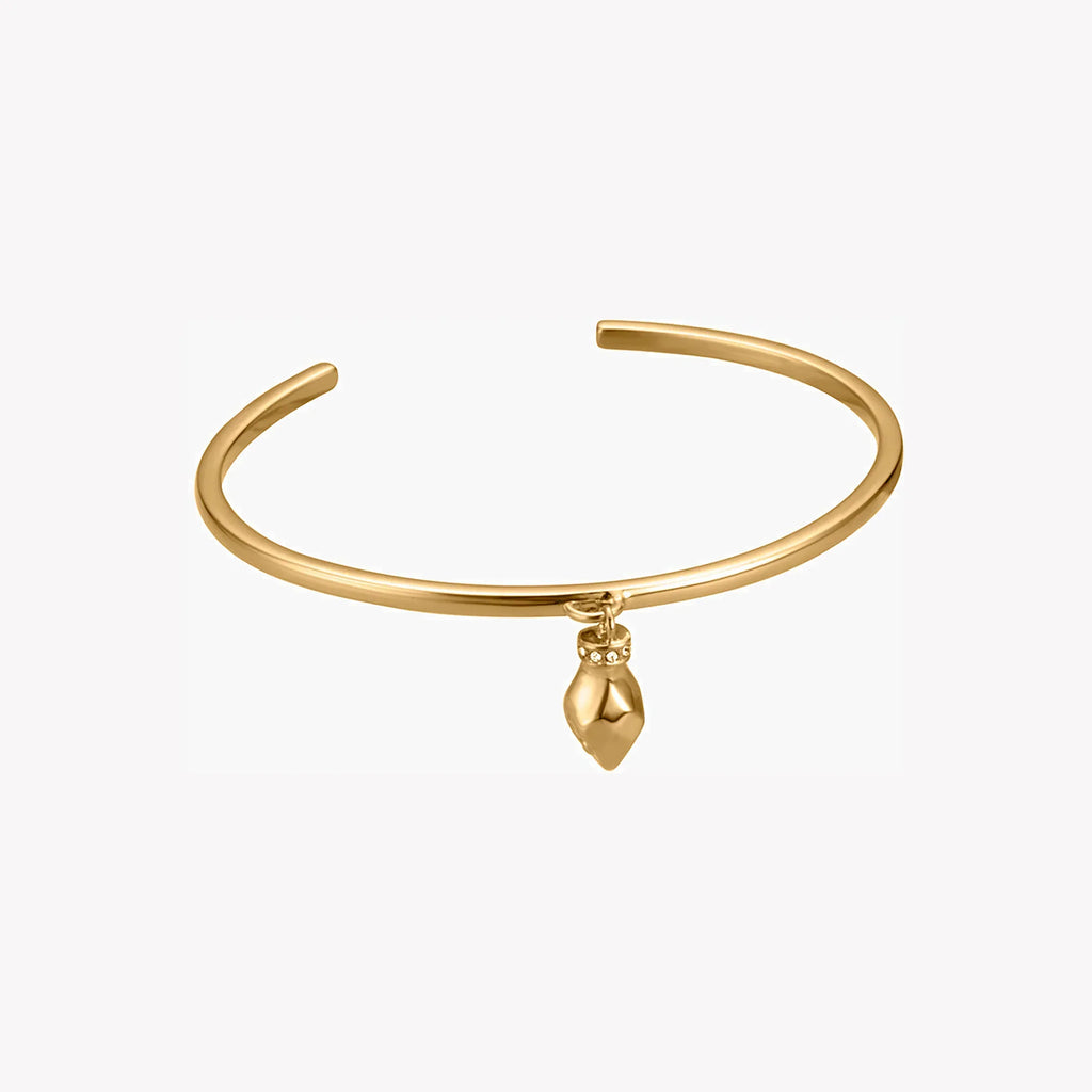 Just Cavalli Women's Gold Stainless Steel Bracelet, | Jcba00440500