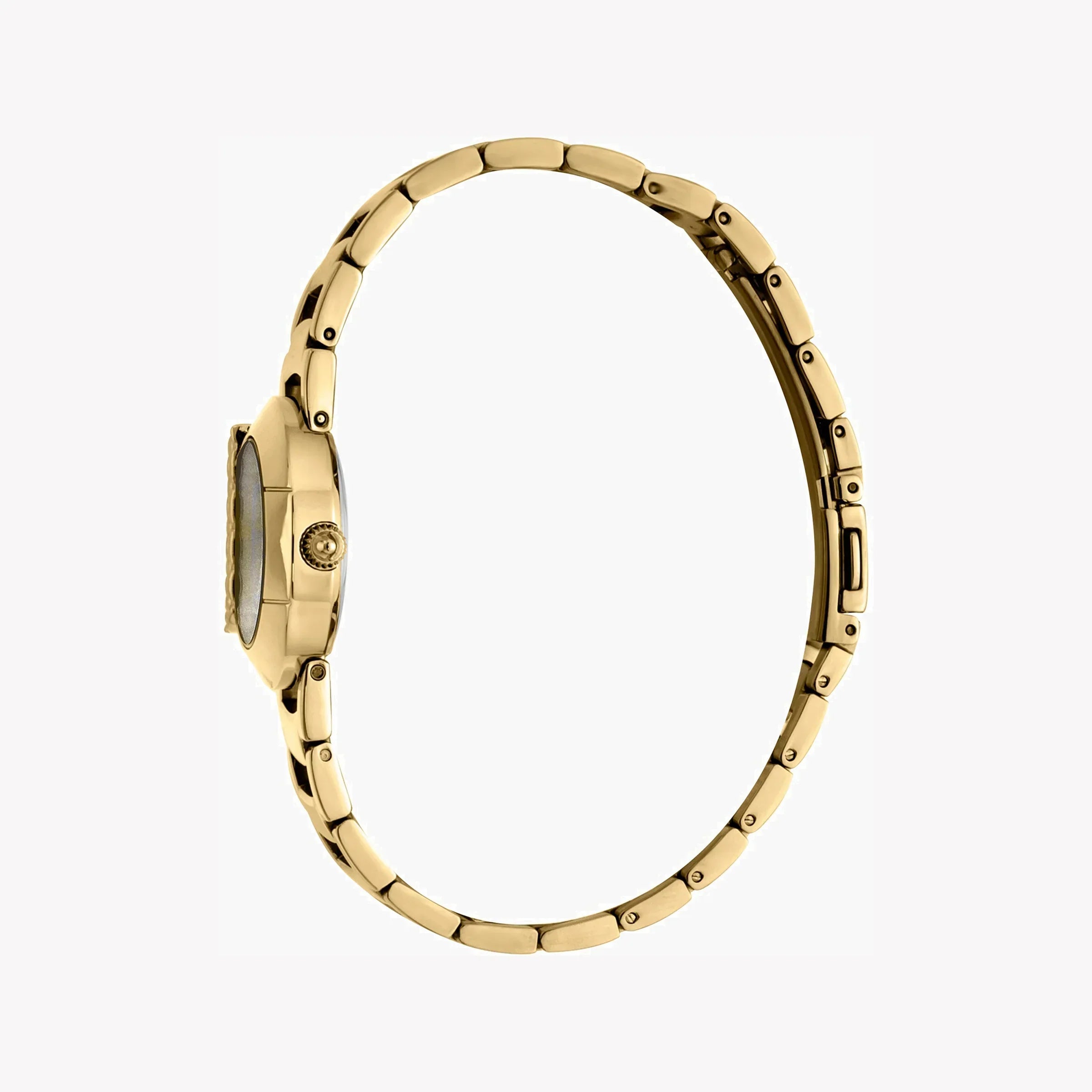 Just Cavalli Women's Gold Stainless Steel Watch, Champagne Dial | Jc1l109m0035