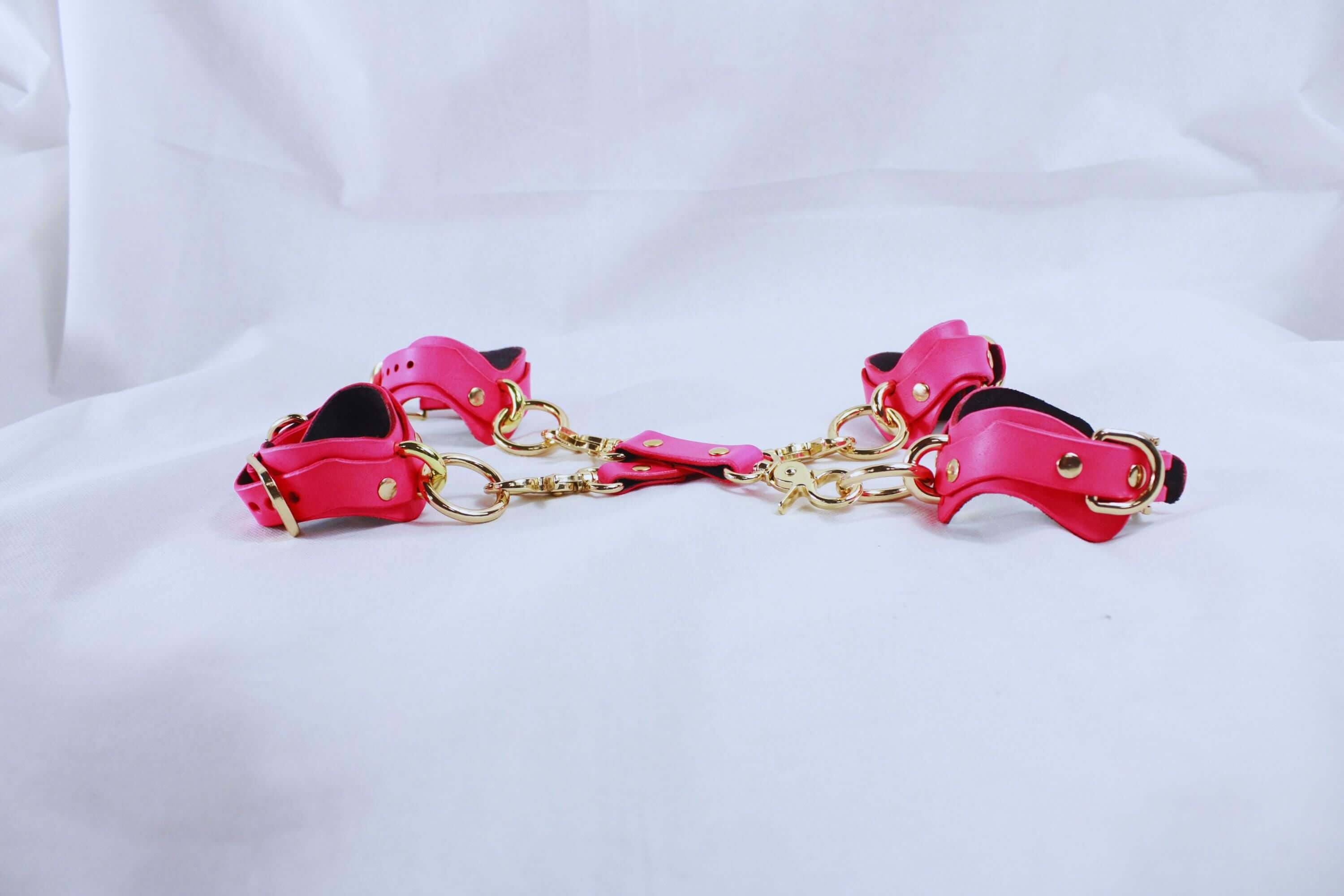 BDSM Gear Pink Leather | Premium BDSM Bondage Gear Set