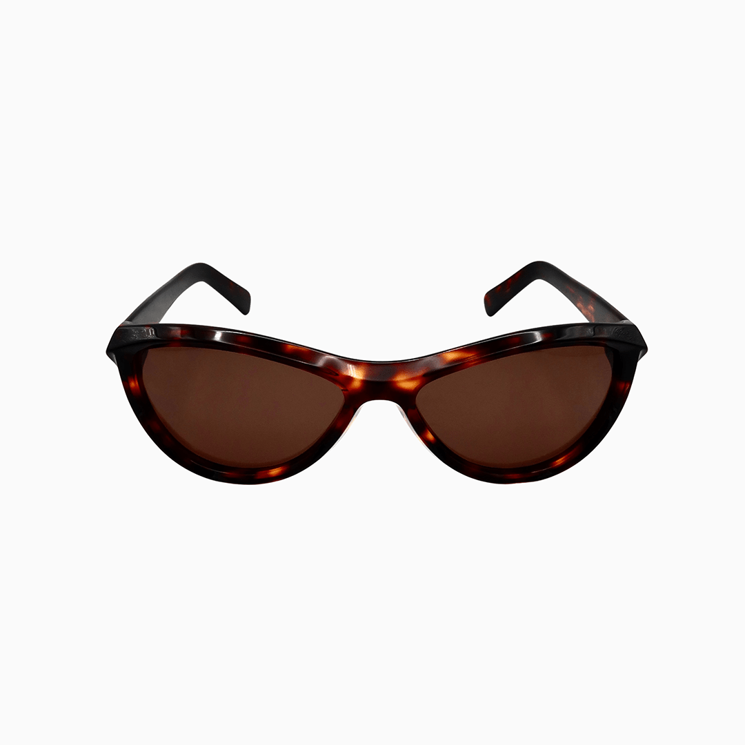 Miami - Tortoise