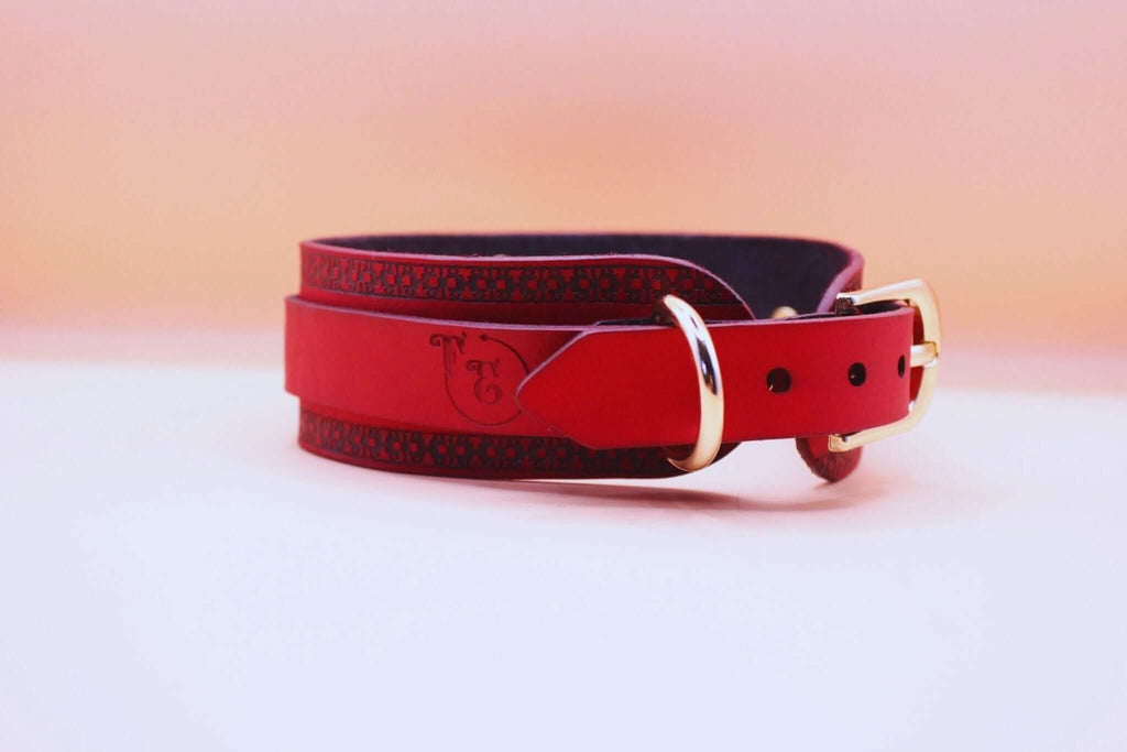 Red Bondage BDSM Collar With Golden Ring For Play